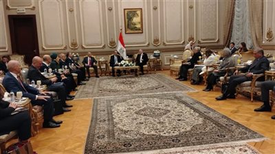 20 موقفًا رئيسيًا.. تفاصيل اجتماع وزير الخارجية و