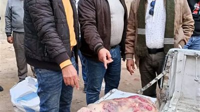 ضبط 70 كيلو لحوم مذبوحة خارج السلخانة و50 طبق سجق فاسد خلال حملة بكوم حمادة