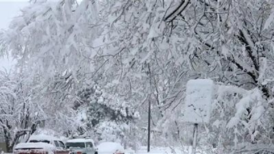 طقس لبنان اليوم.. أمطار غزيرة وثلوج تضرب البلاد طوال الأسبوع 
