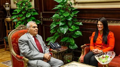 وزيرة التخطيط والتنمية الاقتصادية والتعاون الدولي تلتقي رئيس مجلس الشيوخ