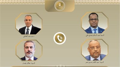 مصر وتركيا والصومال وجيبوتي يرفضون اعتراف إسرائيل بصومالي لاند