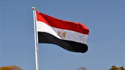 أستاذ علوم سياسية: مصر أدارت ملفات شديدة الحساسية والتعقيد بحكمة كبيرة
