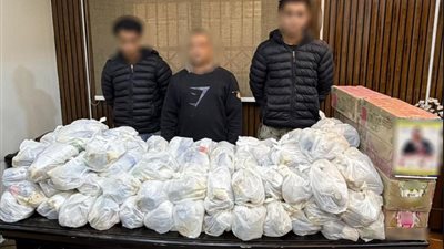 الصوت مقابل وجبة.. ضبط نقطة حشد انتخابية مخالفة بمحيط لجنة بالمنيرة الغربية