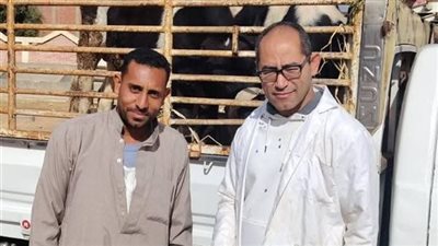متابعة سوق السبت وتحصين الحيوانات ضد الحمى القلاعية بالسويس