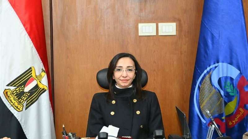 تعليق محافظ البحيرة