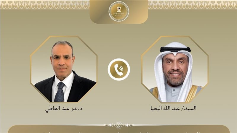 وزيرا خارجية مصر
