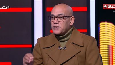 عبد الناصر قنديل: توثيق 1500 فيديو لمرشحين يشتكون من الانتهاكات