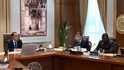 رئيس الوزراء يستقبل مدير 