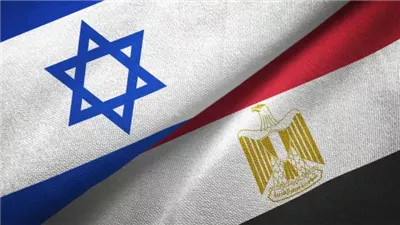 وزير الخارجية: العلاقة المصرية الإسرائيلية يحكمها اتفاقية السلام الموقعة 1979 