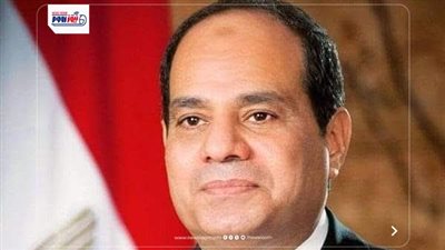 نواب بالشيوخ يشيدون بالدبلوماسية المصرية: 2025 عام السيادة الاستراتيجية 