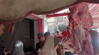 حملات رقابية مكثفة تضبط لحوما بأختام مزورة ومخالفات غذائية في القليوبية 