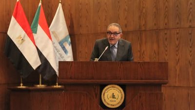 أحمد الوكيل: تعزيز التعاون المصري السوداني ضرورة لمواجهة التحديات الاقتصادية