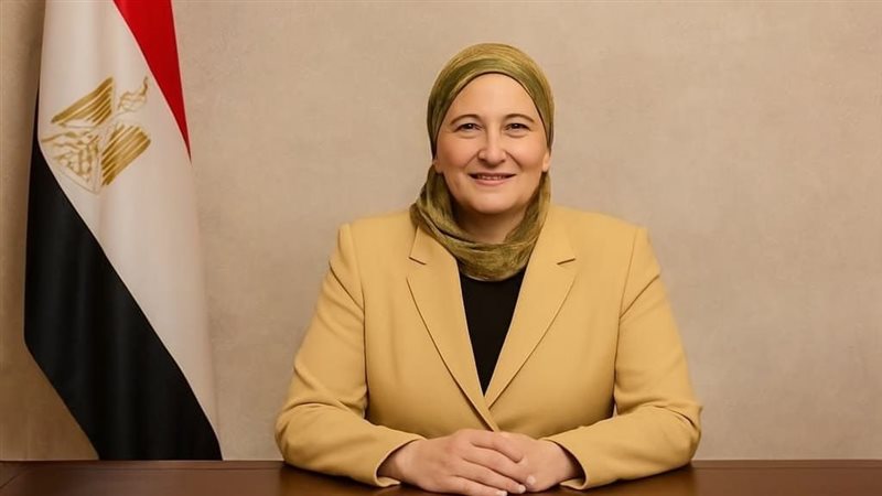 عبير عيسى 