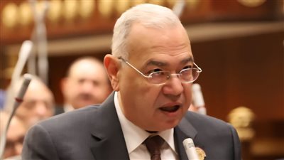 عصام خليل: الدبلوماسية المصرية فرضت 