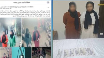 القبض علي سيدتين لقيامهما بسرقة حقيبة سيدة بحدائق القبة 