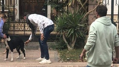 استمرار حملات تطعيم الكلاب ضد السعار بمدينة العبور بمحافظة القليوبية 