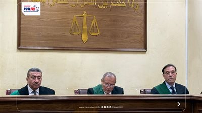 للنطق بالحكم.. جنايات الجيزة تحدد جلسة عاجلة بعد إحالة أوراق قاتل أطفال للمفتي