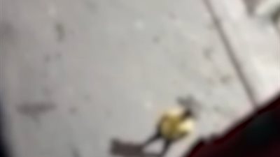 ضبط سيدة بعد تداول فيديو لتعديها على أهلية زوجها وإثارة الإزعاج بالإسكندرية