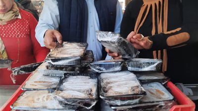 تحرر 138 محضرا وضبط كمية من اللحوم ومصنعاتها غير صالحة في حملة تموينية بالسويس