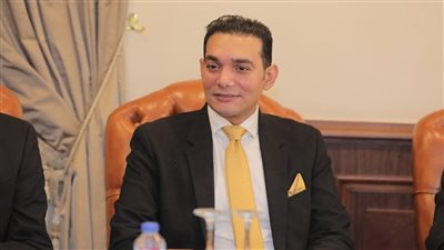 نائب بالشيوخ: دبلوماسية مصر في 2025 أعادت الاعتبار لمنطق الدولة