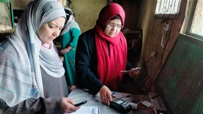 «تموين القليوبية» خلال 2025: توفير 6.2 مليار رغيف خبز وضبط 34,538 مخالفة 