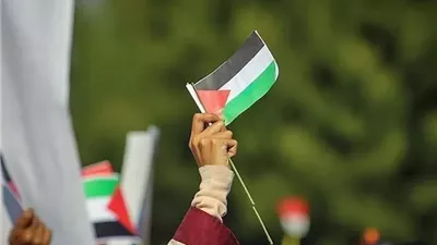 محلل فلسطيني: جهود مصر تحرك المرحلة الثانية في غزة وتوحد الفصائل الفلسطينية