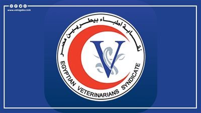 من يحمي غذاء المصريين؟ صراع الصلاحيات يُشعل ملف الهيئة البيطرية