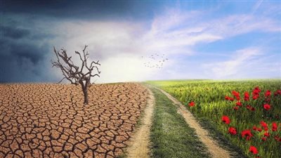 مدير مركز تغير المناخ يكشف طرق حماية المحاصيل من التقلبات المناخية
