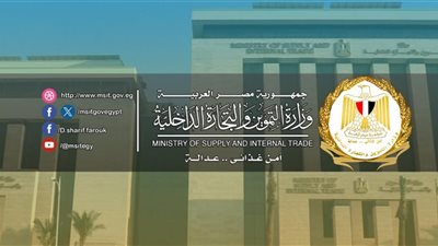 وزير التموين ومحافظ الجيزة يفتتحان سوق اليوم الواحد بمنطقة فيصل بمحافظة الجيزة