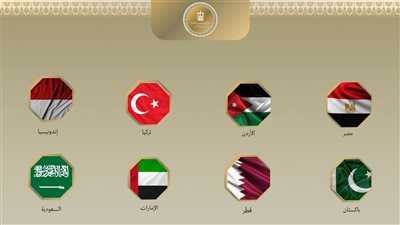 وزراء خارجية مصر والدول الإسلامية يعربون عن قلقهم من تدهور الوضع في غزة