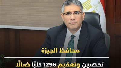محافظ الجيزة: تحصين وتعقيم 1296 كلبًا ضالًا خلال شهر (تفاصيل)