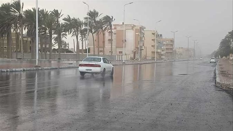 ارشيفية