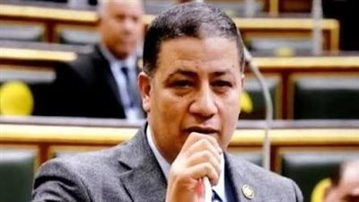 النائب عادل النجار يهنئ الرئيس السيسي بحلول العام الميلادي الجديد 2026