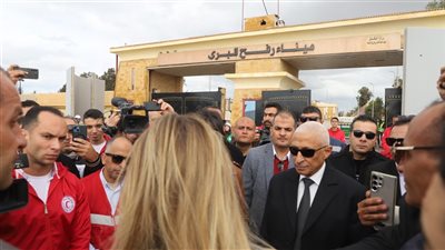 «تحيا مصر من أرض الفيروز ».. محافظ شمال سيناء يشيد بزيارة أنجلينا جولي
