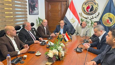 غرفة عمليات حماة الوطن تستأنف متابعة التصويت بجولة الإعادة في الدوائر الملغاة