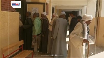 إقبال من كبار السن على لجنة مدرسة العزيزية بجولة الإعادة بالفيوم