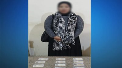 ضبط 3 أشخاص بحوزتهم بطاقات وكروت دعاية وأموال للتأثير على الناخبين بالبحيرة