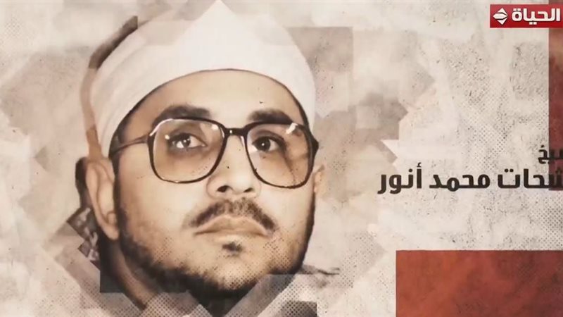 الشحات محمد أنور