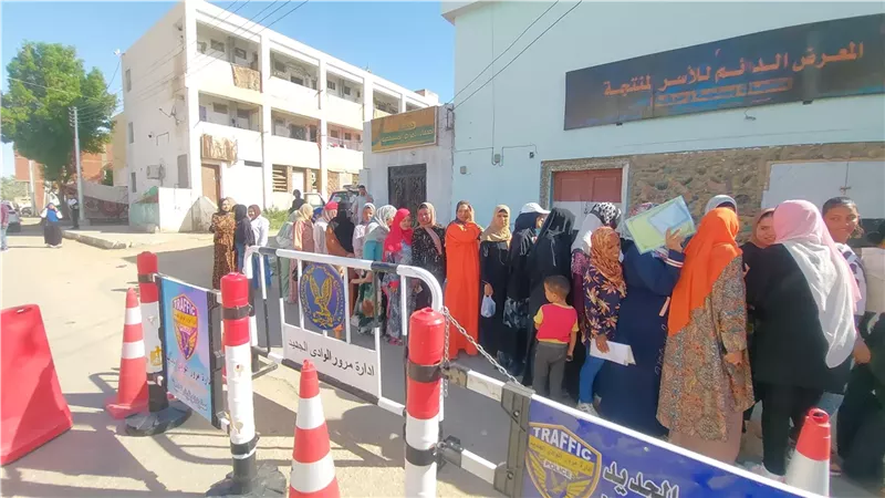 انتخابات مجلس الشيوخ