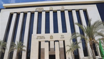  299.2مليون جنيه منحة عيد الميلاد للعمالة غير المنتظمة..أبرز أنشطة العمل|فيديو