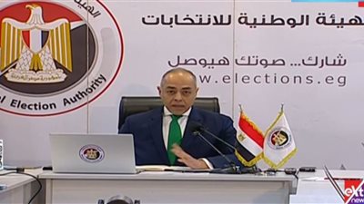 «بنداري»: حق التصويت هو أساس الديمقراطية.. والهيئة الوطنية تضمن حماية الناخبين