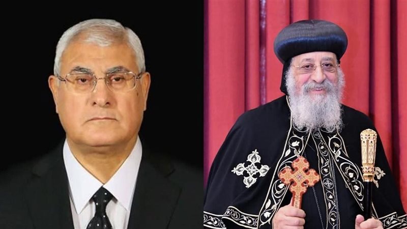 المستشار عدلي منصور