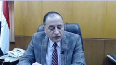 القاضي عماد عثمان: انتظام العملية الانتخابية في 353 لجنة بأسيوط 