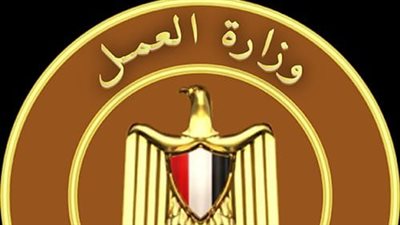 عقد اجتماع تنسيقي مع المنظمات العمالية.. أبرز أنشطة العمل في أسبوع|فيديو