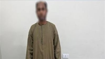 ببطاقات وأموال.. الأمن يسقط سمسار الانتخابات في الأقصر  