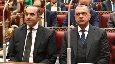 محمود فوزي: قيمة الضرائب على العقارات المبنية لا تمثل عبئًا على المواطنين 