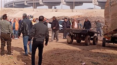 مصادرة 25 عربة كارو و4 حمير و3 خيول خلال حملة مكبرة بشبرا الخيمة بالقليوبية 