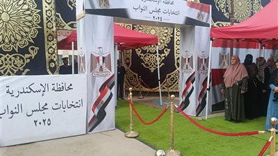 مؤشرات أولية.. هشام الرحماني يفوز بإعادة انتخابات دائرة المنتزه بالإسكندرية