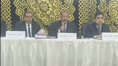 الحصر العددي لدائرة حوش عيسى بالبحيرة يظهر تفوق جاب الله على الصافى