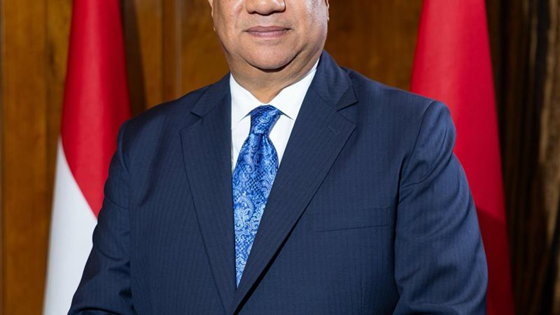محمد مصيلحى 
